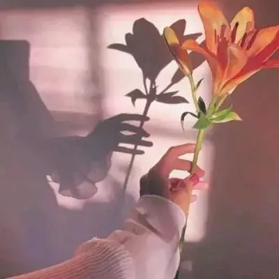 顺祺**